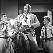 The Rehabilitation of Otis