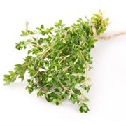 Lemon Thyme