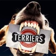 Terriers - Theme Song