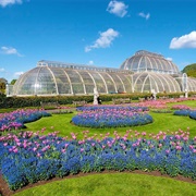 Kew Gardens, England, UK