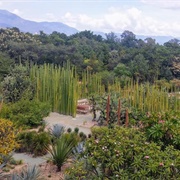 The Ethno-Botanical Garden, Oaxaca, Mexico
