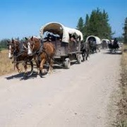 Ride in a Covered Wagon Across the US