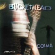Big Sur Moon - Buckethead