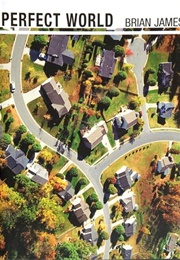 Perfect World (Brian James)