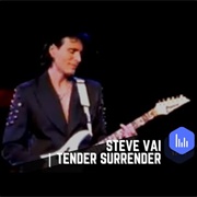 Tender Surrender - Steve Vai