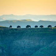 Theodore Roosevelt National Park, ND