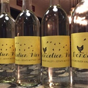 Dandelion Wine (Pennsylvania)