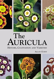The Auricula (Allan Guest)