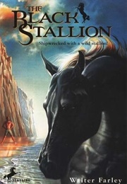 The Black Stallion (Farley, Walter)