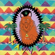 King of the Beach - Wavves