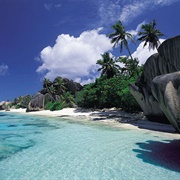 Furaha: Free Spirit - Orko & Optimus Play With Furaha on the Beach