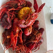 Crawfish