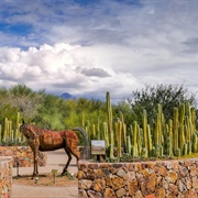 Tohono Chul (Tuscon, Arizona)