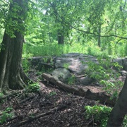 Hallett Nature Sanctuary