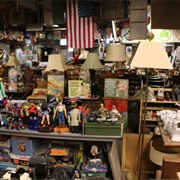 The Treasures in the Trash Collection