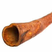 Didgeridoo