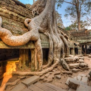 Ta Prohm