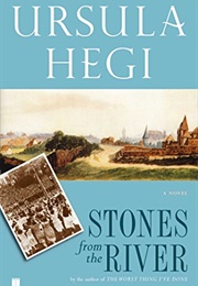 Stones From the River (Burgdorf Cycle Book 1) (Hegi, Ursula)
