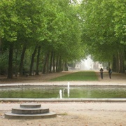 Commemoration of Peter the Great's Vomit