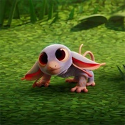 Unidentified Rodent (Tenoo)