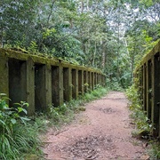 Bagne Des Annamites, French Guiana