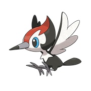 Pikipek