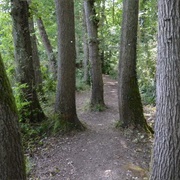 Greenwich Meridian Trail