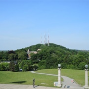 Cobb's Hill