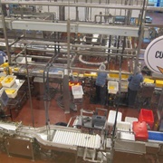 Tillamook Creamery