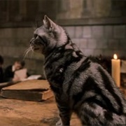 Minerva McGonagall