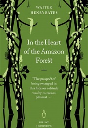 In the Heart of the Amazon Forest (Walter Henry Bates)