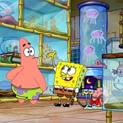 S14.E5: Momageddon/Pet the Rock