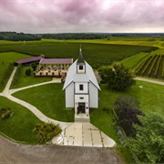 South River Vineyard