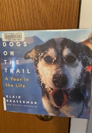 Dogs on the Trail (Blair Braverman and Quince Mountain)