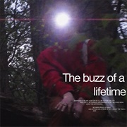 The Buzz of a Lifetime - Knapsack