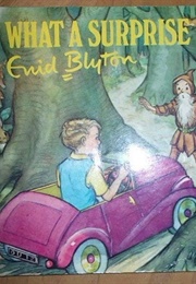 What a Surprise (Enid Blyton)