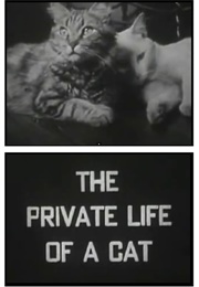 The Private Life of a Cat (1947)