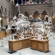 Oxford Museum of Natural History