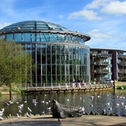 Sunderland Museum and Winter Gardens