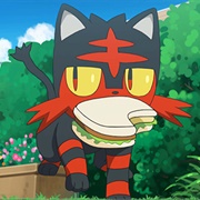 948. That's Why the Litten Is a Scamp!