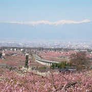 Fuefuki, Yamanashi, Japan