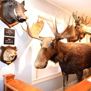 Woodman Institute Museum