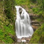 Park Falls Mendelikha, Russia