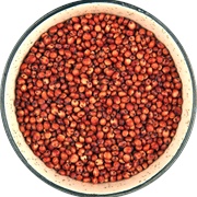 Red Sorghum