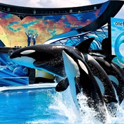 Sea World, USA