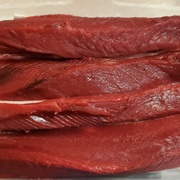 Heller's Barracuda (Sphyraena Helleri)