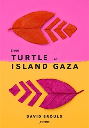 From Turtle Island to Gaza (David Groulx)