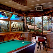 Moccasin Bar