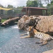 Catty Shack Ranch Wildlife Sanctuary