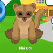 Kinkajou